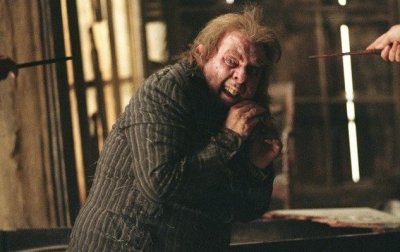 ​《哈利波特》人物篇：小矮星彼得是怎么一步一步投靠伏地魔的？