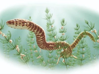 ​恐龙跌倒 小蛇吃饱